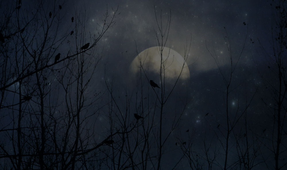 Eerie Sounds Game Call Supplies Ghost Logging