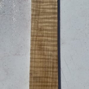 Maple Curly 3/8"x2"x10-12" Lid Blank