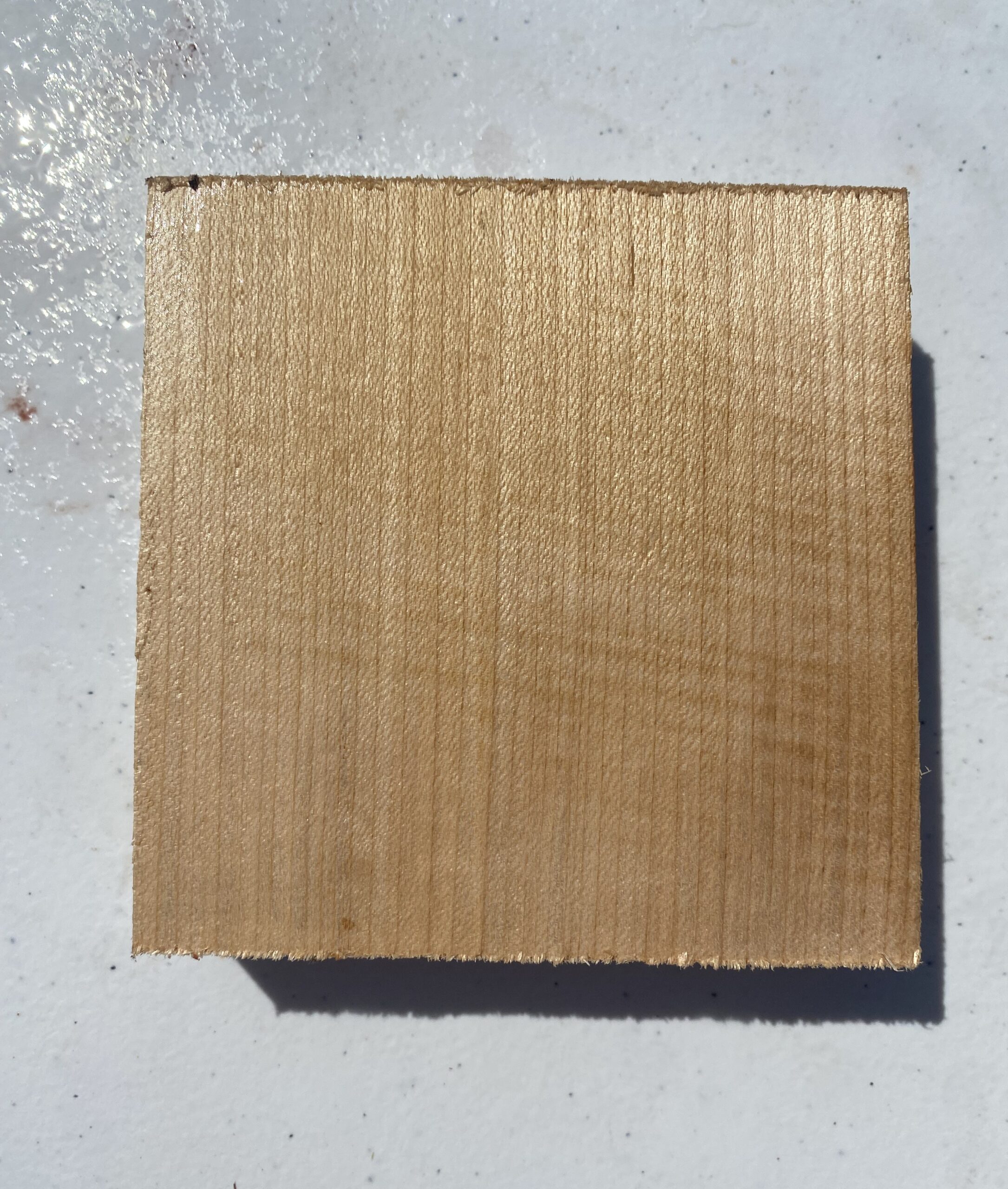 Maple Quarter Sawn 4 x4 x1 Pot Call Ghost Logging